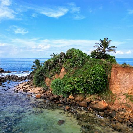 Flora And Fauna Mirissa Dış mekan fotoğraf