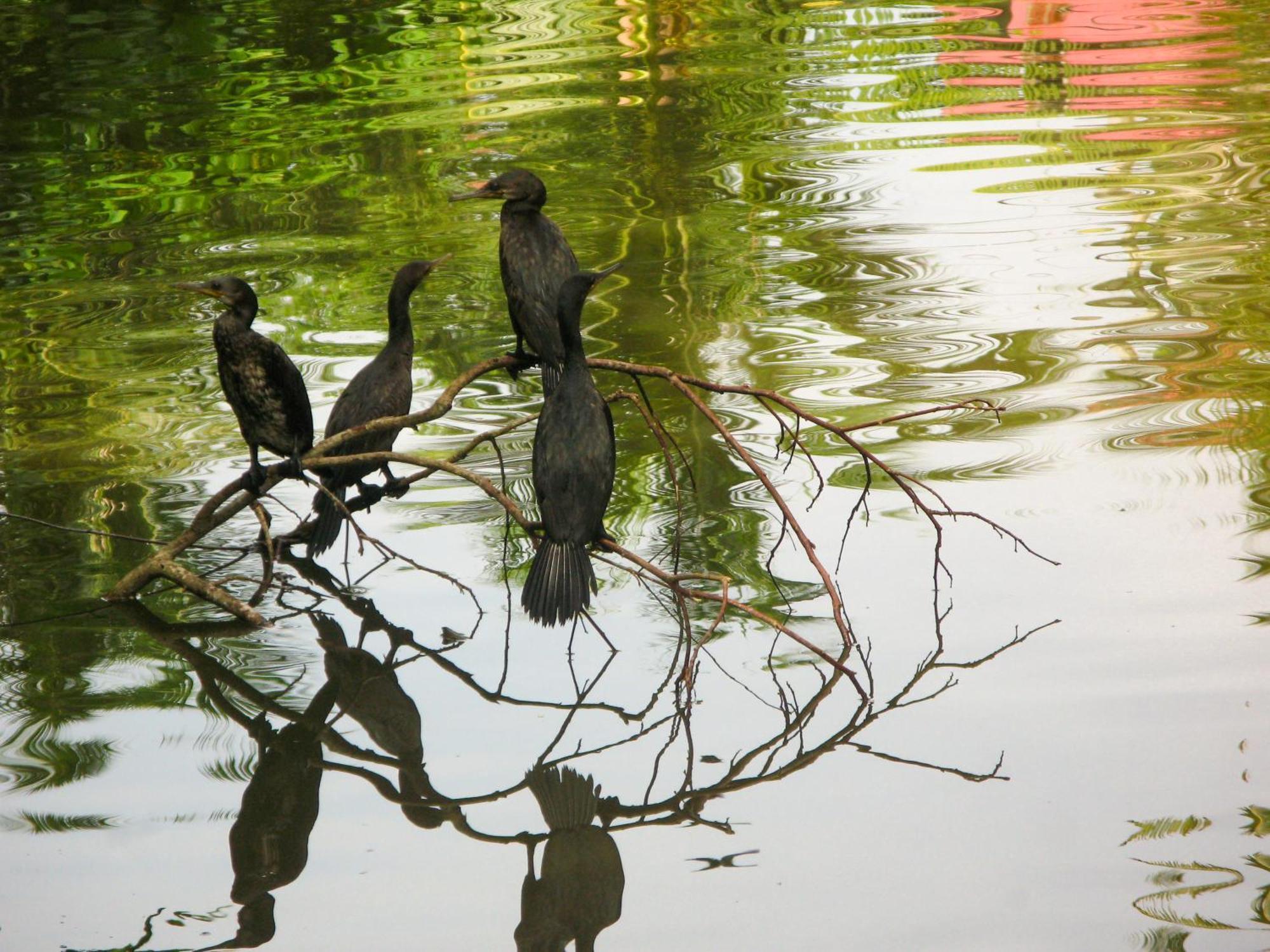 Flora And Fauna Mirissa Dış mekan fotoğraf