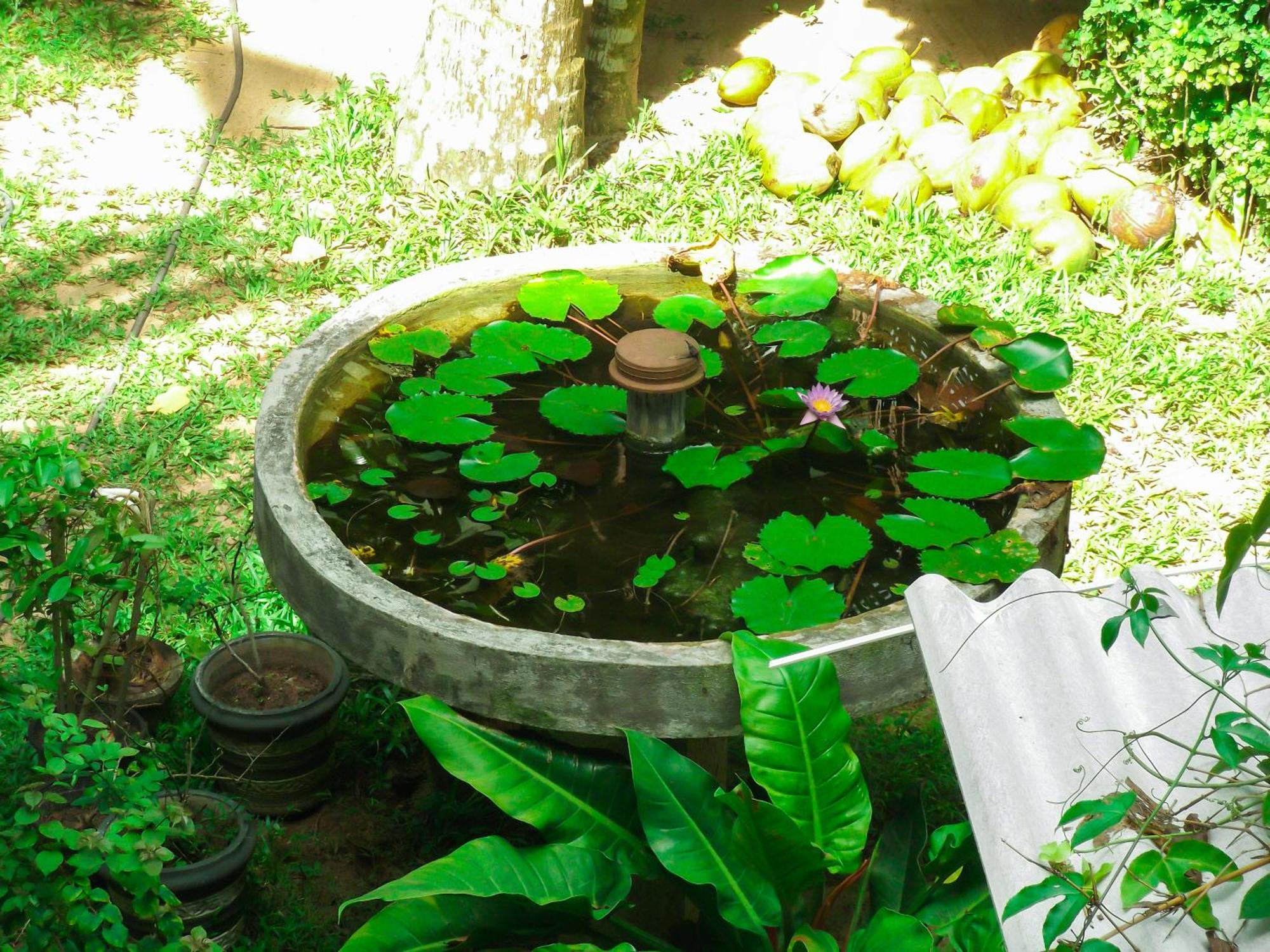 Flora And Fauna Mirissa Dış mekan fotoğraf